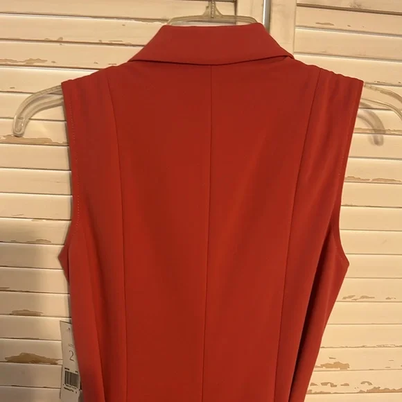 Elegant Terracotta Sleeveless Dress Size 2 - Picture 10 of 11